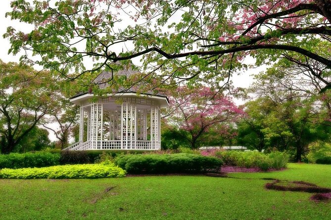 Singapore: National Orchid Garden Admission Ticket - Key Orchid Garden Highlights to Know Before You Go