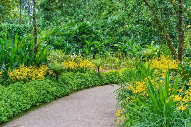 Singapore: National Orchid Garden Admission Ticket - Comfort Details That Matter More Than You Think