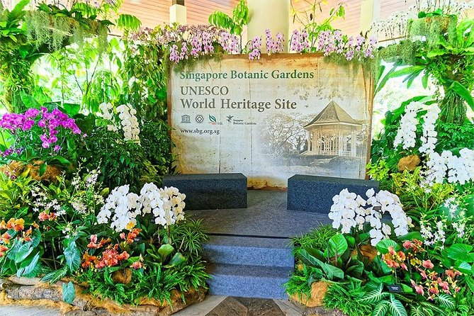 Singapore: National Orchid Garden Admission Ticket - Who This Experience Fits Best (and Who Might Skip It)