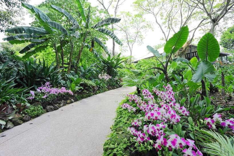 Singapore: National Orchid Garden Entry Tickets - Where the National Orchid Garden fits into your Singapore day