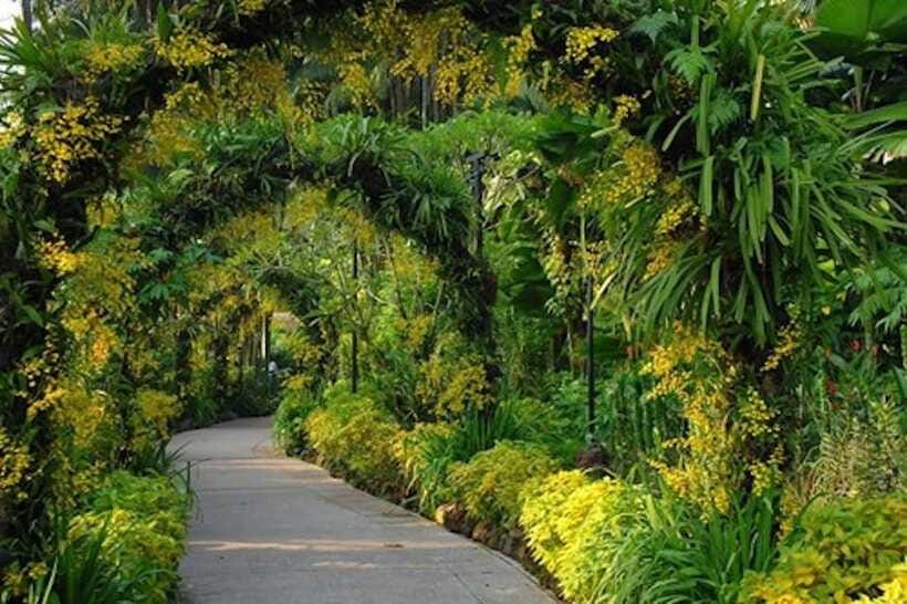 Singapore: National Orchid Garden Entry Tickets - Entering the garden: what your first steps should focus on