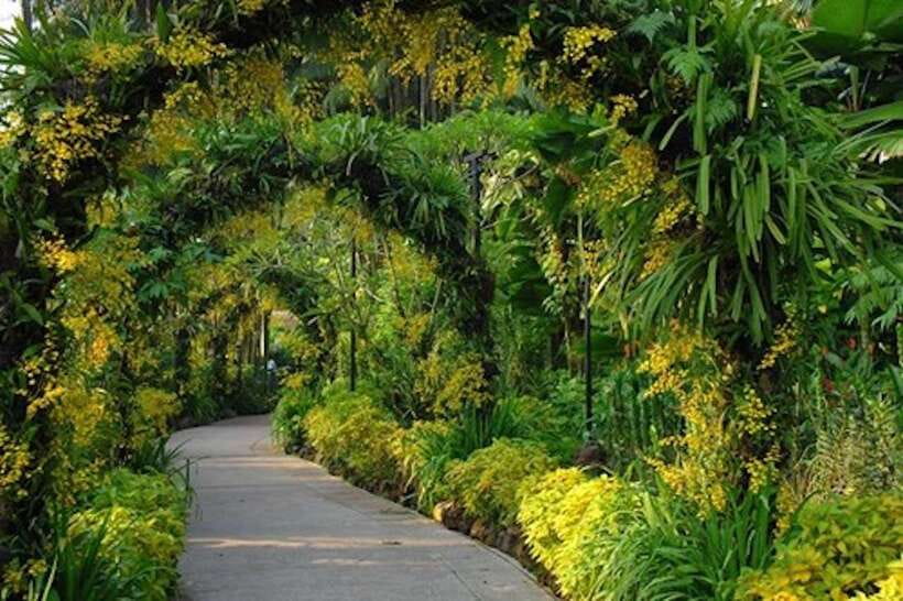 Singapore: National Orchid Garden Entry Tickets - Summer Zone: reds and pinks, plus a more dramatic feel