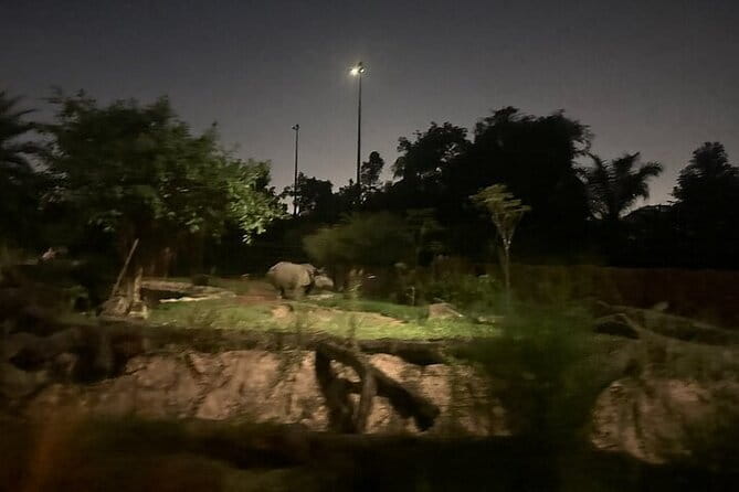 Singapore Night Safari - Price and Value: Is $52.52 Worth It?