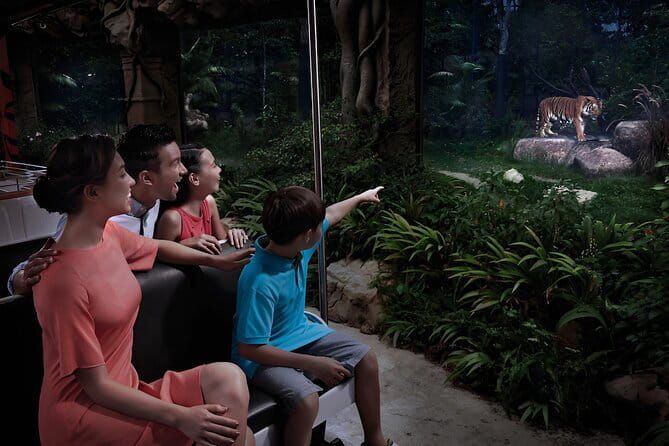 Singapore: Night Safari Entry Ticket - Key things I’d plan for before you go