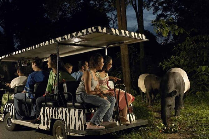 Singapore: Night Safari Entry Ticket - Night Safari in Singapore: what you’re really paying for