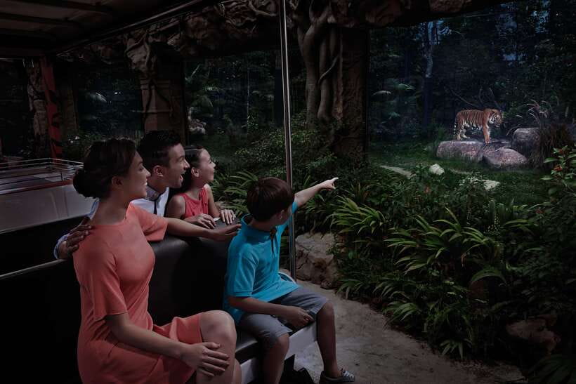 Singapore: Night Safari Entry Ticket with Tram Ride - Singapore Night Safari by Tram and Foot: The Big Idea