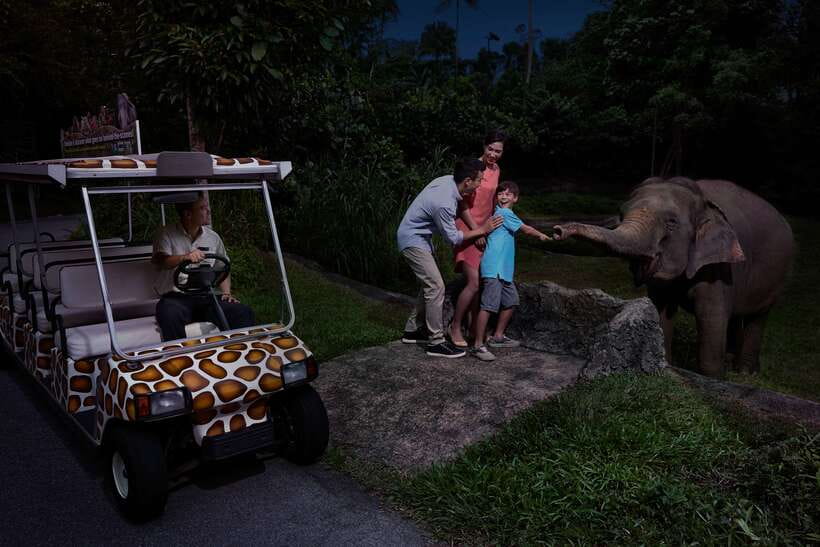 Singapore: Night Safari Entry Ticket with Tram Ride - The Open-Air Tram Ride Through Six Wildlife Zones