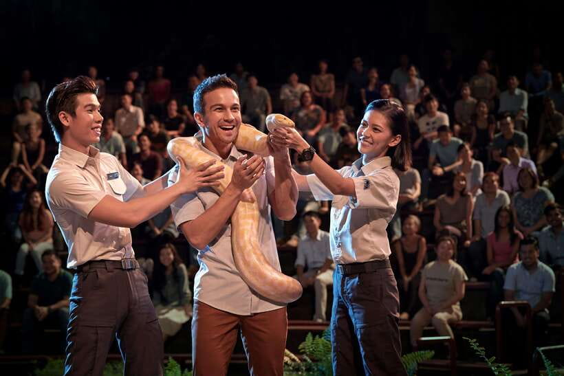 Singapore: Night Safari Singapore Entry Ticket + Tram Ride - Over 900 Nocturnal Animals, Plus the Threatened Species Angle