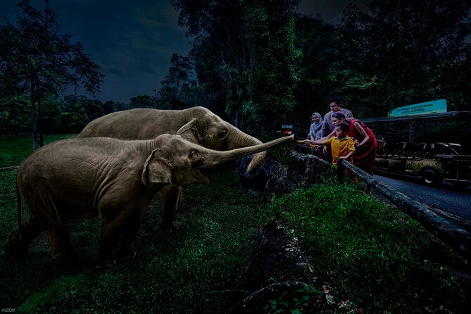 Singapore Night Safari Ticket Experience - Key highlights worth planning around