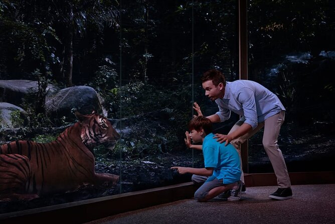 Singapore Night Safari Ticket Experience - Outback and Australian wildlife: wallabies in a walk-through habitat