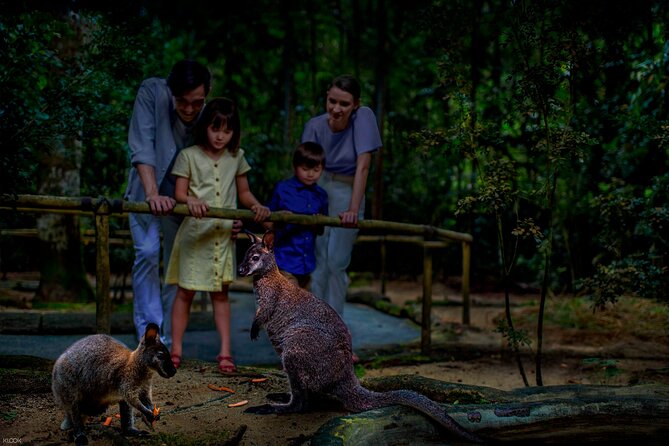 Singapore Night Safari Ticket Experience - Price and value at $46 per person