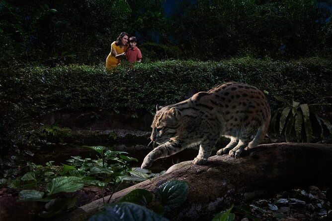 Singapore Night Safari Ticket Experience - Getting there and the ID rule that matters at night