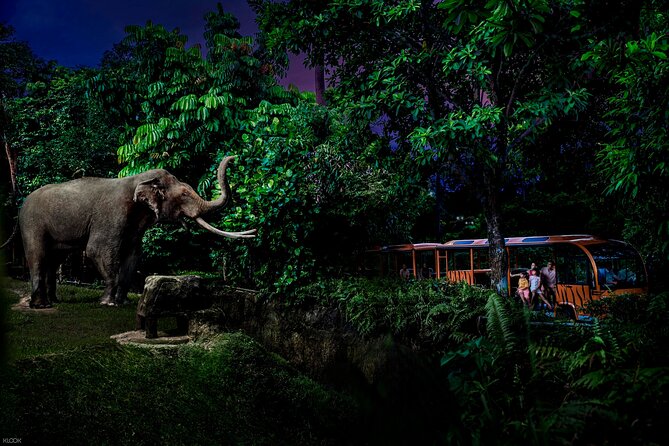 Singapore Night Safari Ticket Experience - The tram ride through six zones: easiest way to see a lot