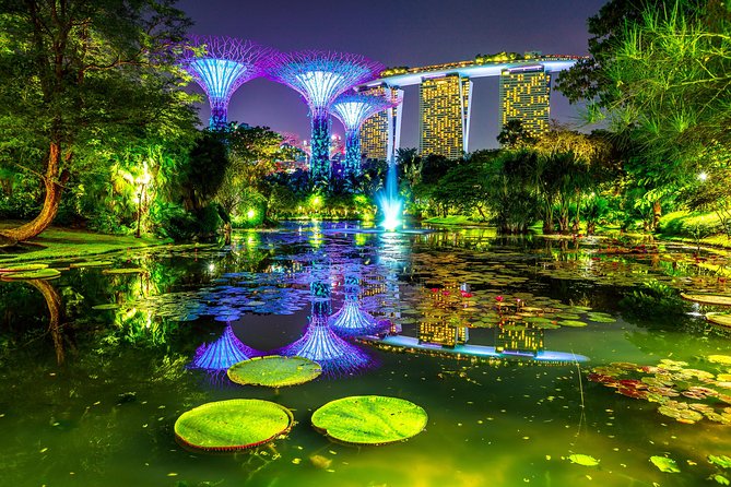 Singapore Night Tour with a Local: Private & 100% Personalized - Lantern-lit streets, temples, shophouses, and food stalls after dark