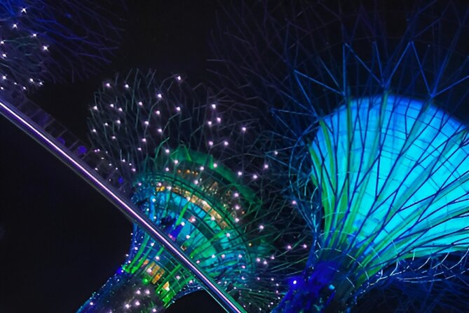 Singapore OCBC Skyway Flower dome Cloud Forest Garden by the Bay - OCBC Skyway and the Supertrees, built for photos and big feelings