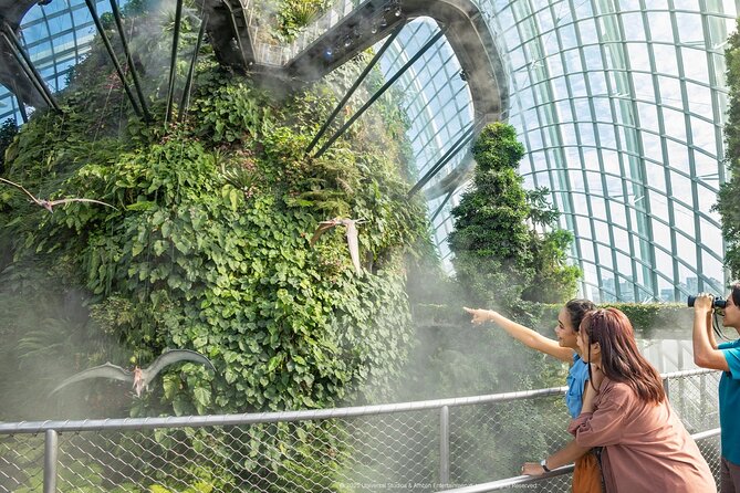 Singapore OCBC Skyway Flower dome Cloud Forest Garden by the Bay - Floral Fantasy add-on: an extra indoor hour if you want more flowers