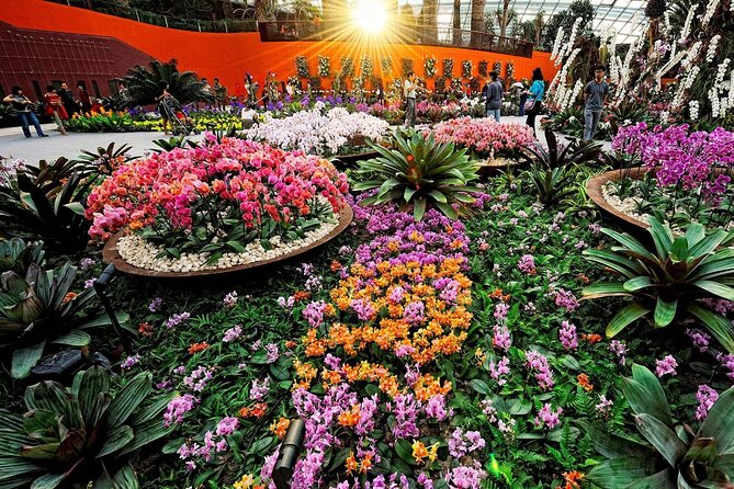 Singapore OCBC Skyway Flower dome Cloud Forest Garden by the Bay - Should you book this Gardens by the Bay ticket bundle?