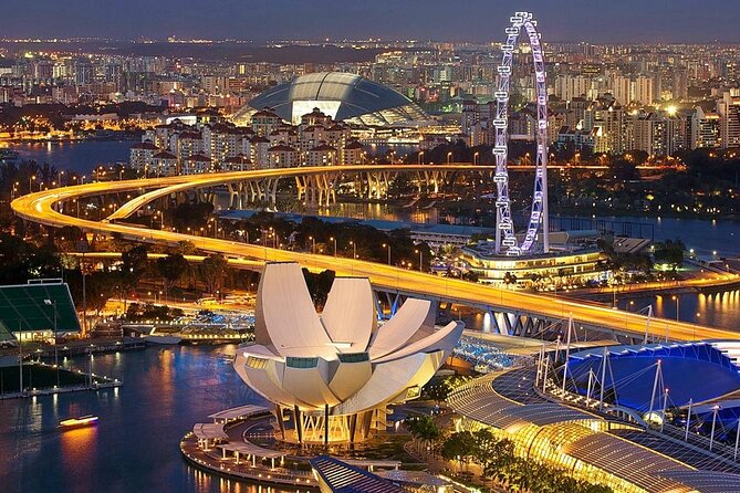 Singapore Panoramic Sightseeing Private Tour with River Cruise - Little India: Indian Heritage Without Needing a Full Detour
