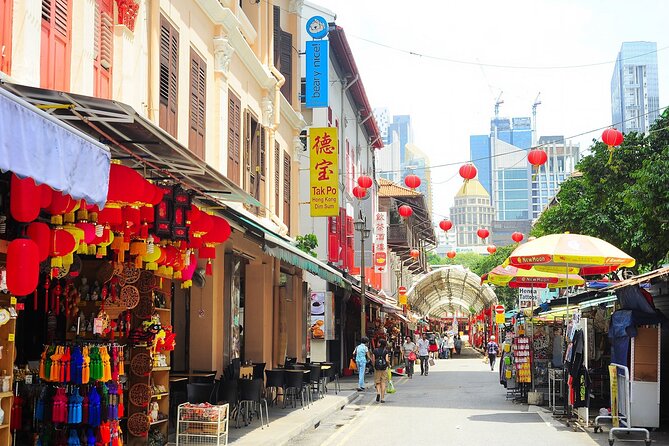 Singapore Panoramic Sightseeing Private Tour with River Cruise - Who Should Book This Private Panoramic Plus Cruise Tour