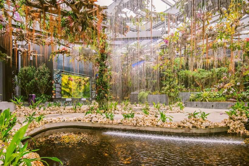 Singapore: Pass Save up to 50% - Includes Universal Studios - Night Safari and Mandai Wildlife Reserve: build an evening loop