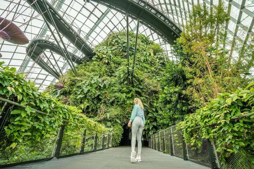 Singapore Photography: Marina Bay Sands & Gardens by the Bay - Cloud Forest: when you want indoor tropical mood (tickets not included)