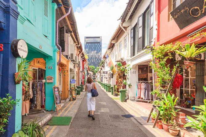 Singapore Private Custom Full-Day Tour with Licensed Local Guide - Walking logistics, transport gaps, and what to confirm before you go