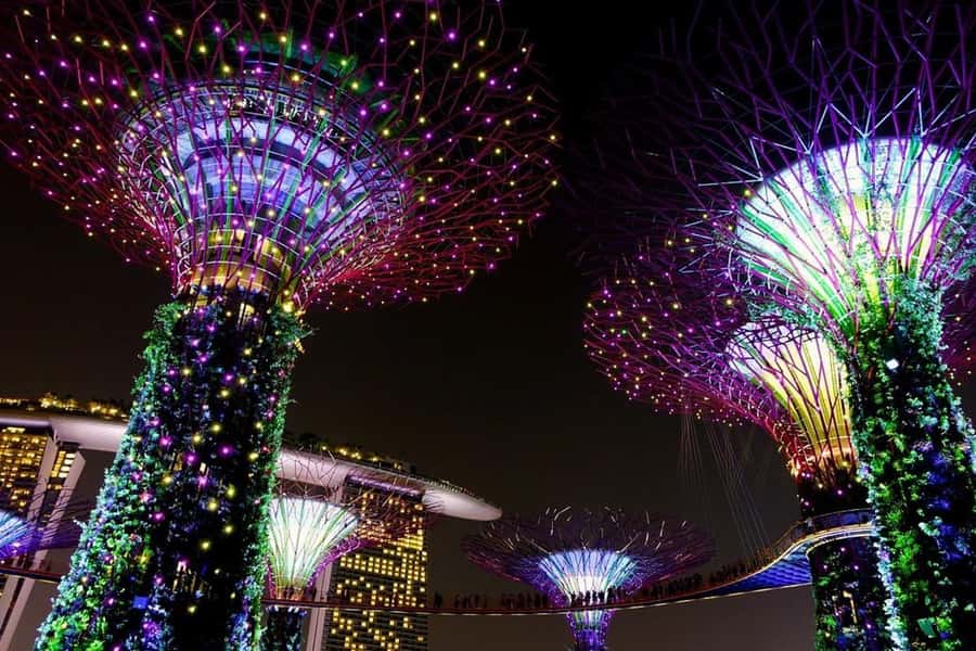 Singapore: Private Customizable Singapore Tour - Chinatown Stop: 30 Minutes That Can Still Work