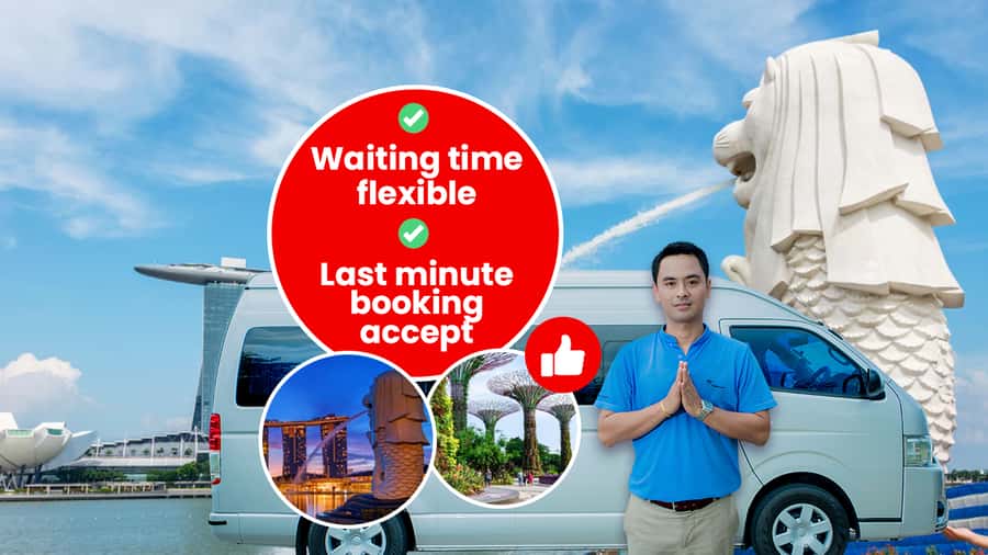 Singapore: Private Customizable Singapore Tour - Getting From Your Hotel Or Port, Without Losing Time