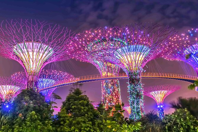 Singapore Private Customized City Tour with Driver - Mount Faber Peak: skyline views without a big production