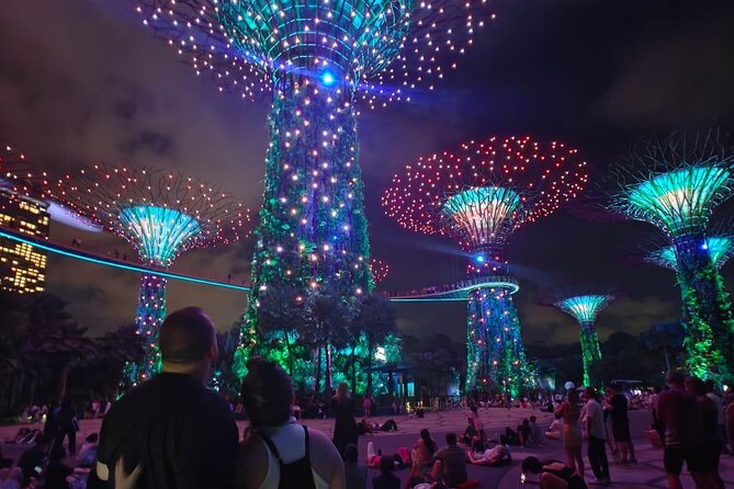 Singapore Private Customized City Tour with Driver - What to ask before you meet the driver