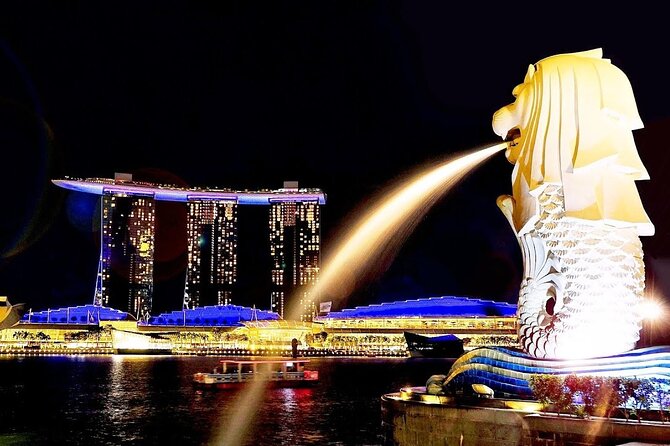 Singapore Private Customized City Tour with Driver - Little India and Chinatown temples: where the city’s stories start