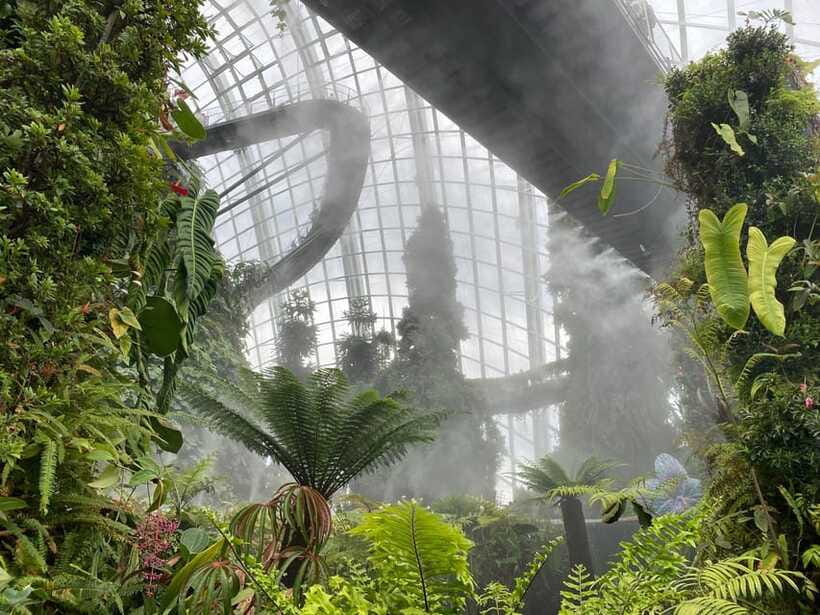 Singapore: Private Customized Tour with transportation - Who this tour fits best (and who should check first)