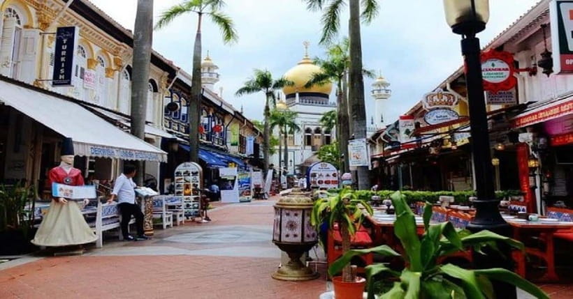 Singapore: Private Full-Day Island Tour - Key highlights you will care about
