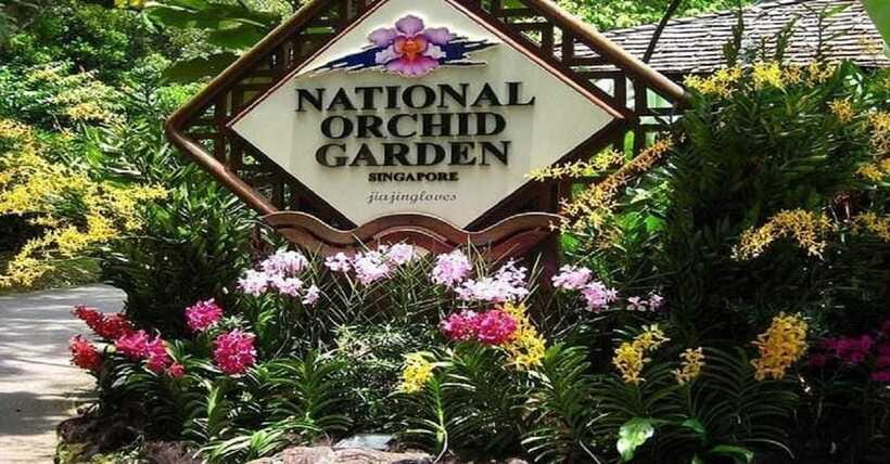 Singapore: Private Full-Day Island Tour - Geylang Serai Finish and the Ride Back to Your Hotel
