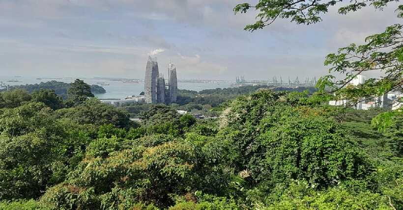 Singapore: Private Full-Day Island Tour - The Right Fit, Plus a Few Honest Watchouts