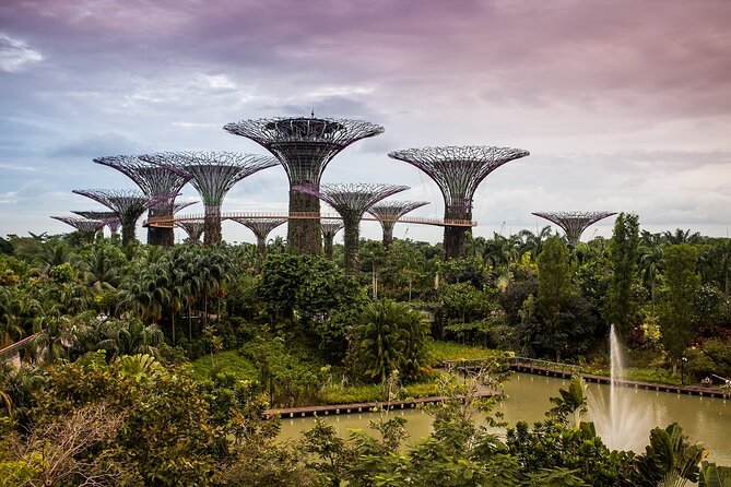 Singapore Private Full-Day Sightseeing Tour - Private pickup plus an air-conditioned route that actually saves your day