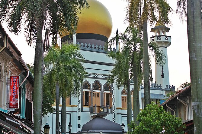 Singapore Private Full-Day Sightseeing Tour - How to pace an 8-hour private day without feeling rushed