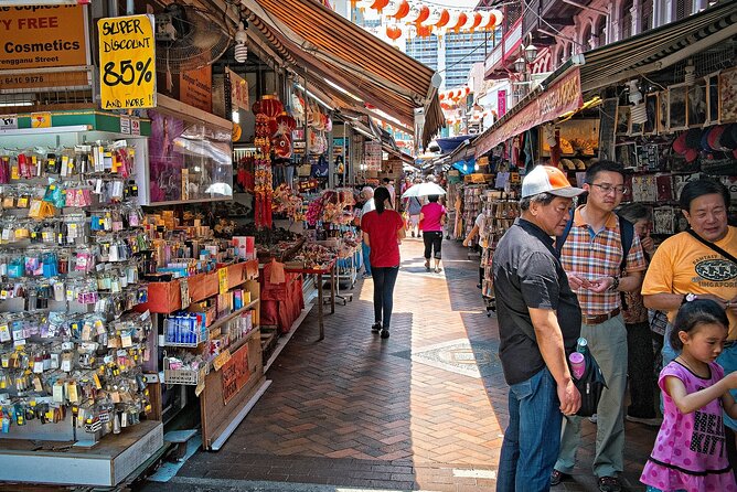 Singapore Private Full-Day Sightseeing Tour - Singapore River and Merlion Park, the origin story in walkable form