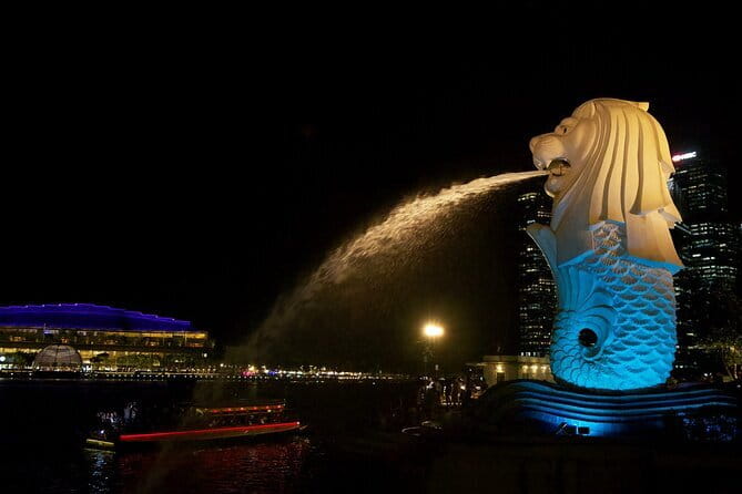 Singapore Private Night Cycling with Dinner - Stop 5: Gardens by the Bay and the Supertree Grove at Night