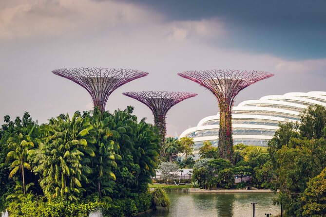 Singapore Private Professional Photoshoot at Gardens by the Bay - Gardens by the Bay photos without the stress