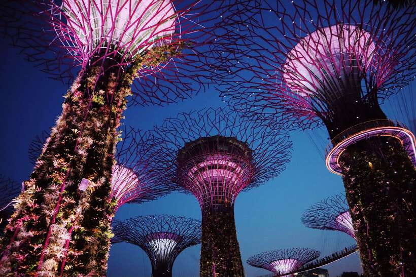 Singapore: Private Tour with a Driver - Key Points You’ll Care About