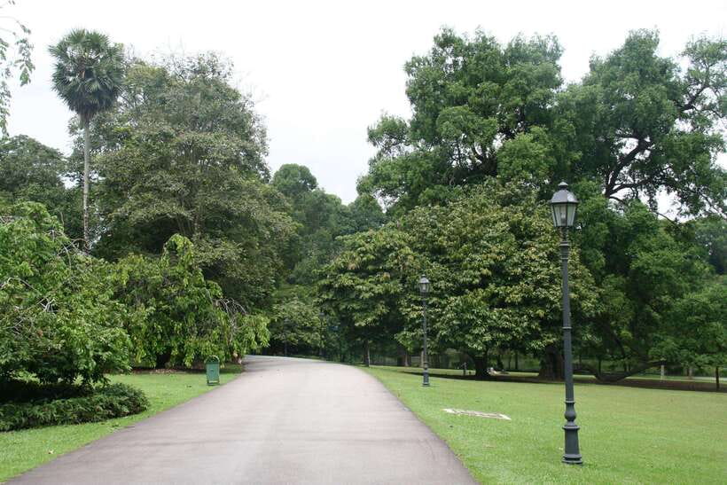 Singapore: Private Tour with a Driver - Southern Ridges and Haw Par Villa: Where the Local Feeling Shows Up