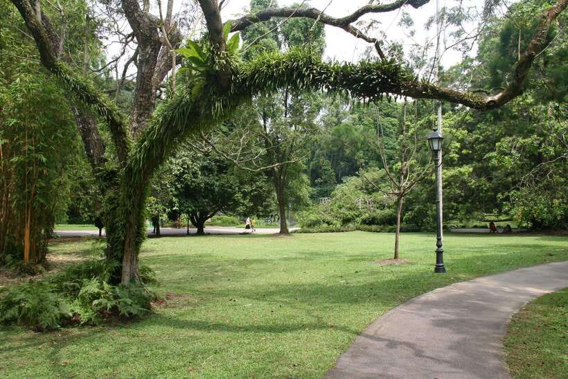 Singapore: Private Tour with a Driver - Pulau Ubin and MacRitchie Reservoir: Nature Stops for Extra Time
