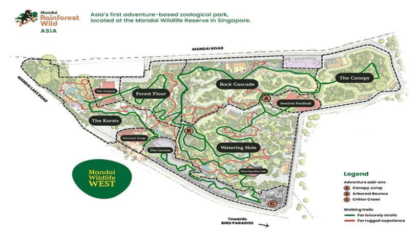 Singapore: Rainforest Wild Asia Entry Ticket - The thrill extras: 20m canopy jumps and cave adventures
