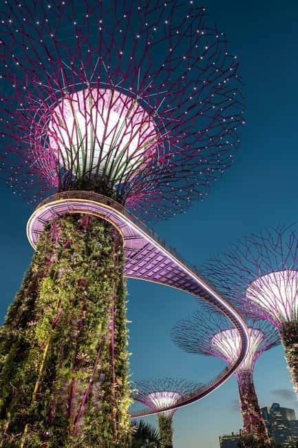 Singapore River Cruise, Garden Rhapsody & Spectra by CYT - Price and Value: Is $55 a Good Deal Here?