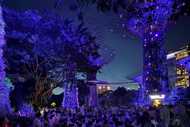 Singapore River Cruise, Night Garden Rhapsody and Spectra Tour - Key highlights you will actually care about