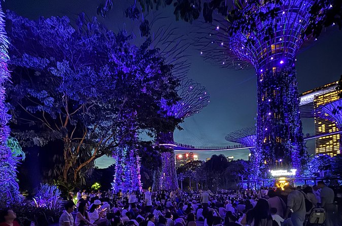 Singapore River Cruise, Night Garden Rhapsody and Spectra Tour - Singapore River bumboat cruise: the calm middle of the tour