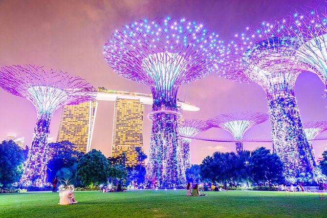 Singapore River Cruise, Night Garden Rhapsody & Spectra by CYT - Key highlights worth prioritizing