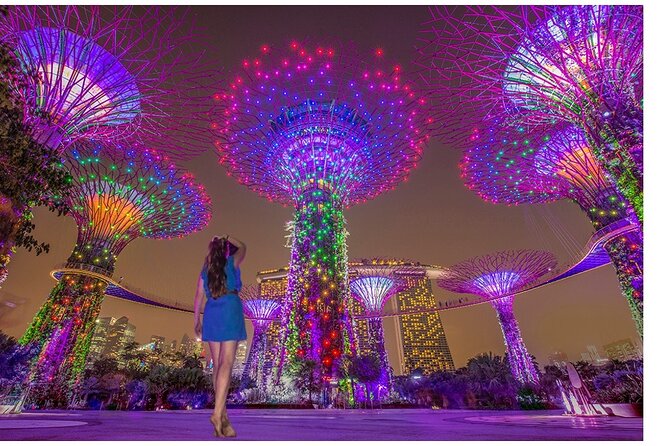Singapore River Cruise with Spectra & Garden Rhapsody Light Show - Key highlights to know before you go