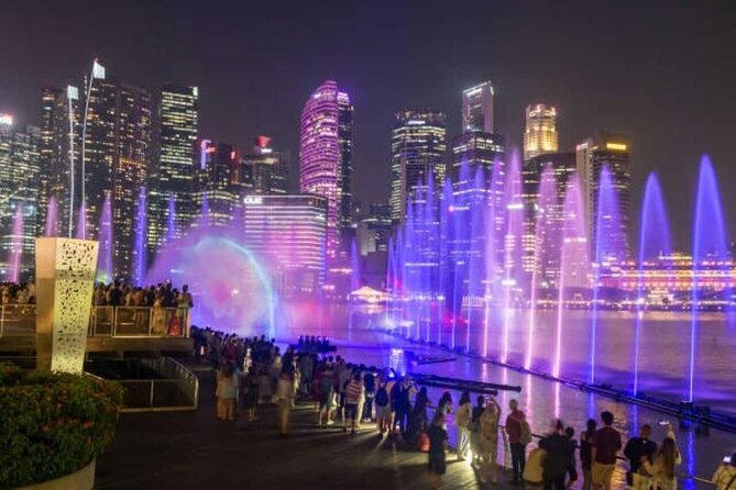 Singapore River Cruise with Spectra & Garden Rhapsody Light Show - Garden Rhapsody at Supertree Grove: a step-count reality check
